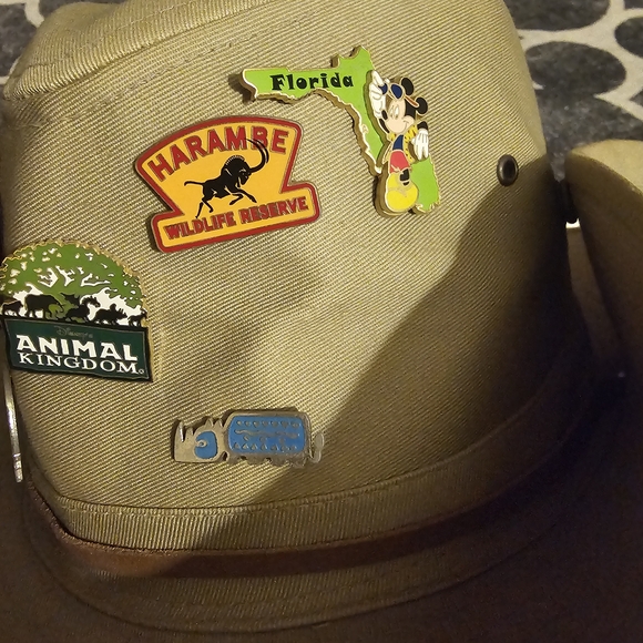 Disney Animal Kingdom Khaki Hat with Pins - Picture 3 of 8